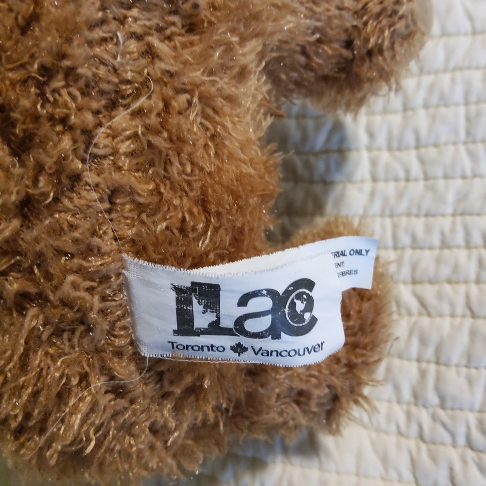 ILAC Graduation Moose - Picture 5 of 8